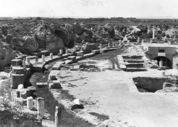 The Celestial Price: How Much Does It Cost to Claim a Star